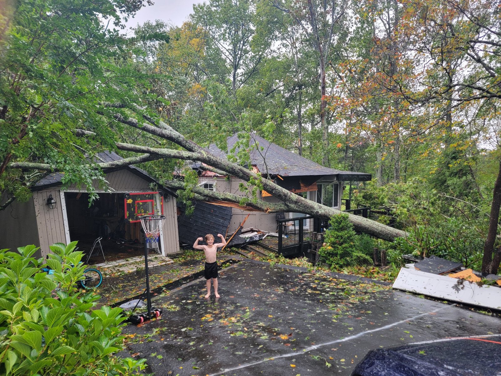 Trees down on the Wheeler house in Spruce Pine after Hurricane Helene